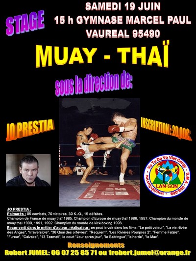 AFFICHE POUR STAGE DE MUAY THAI DU 19_06_2010.jpg (format web)